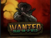 Wanted Dead or a Wild